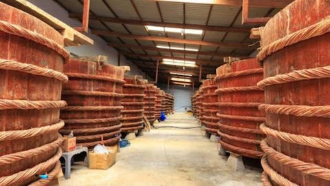 Giới thiệu quy trình sản xuất nước mắm