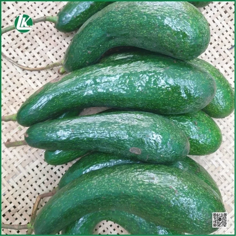 Bơ 034