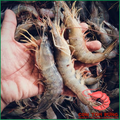 Tôm thẻ (400g)