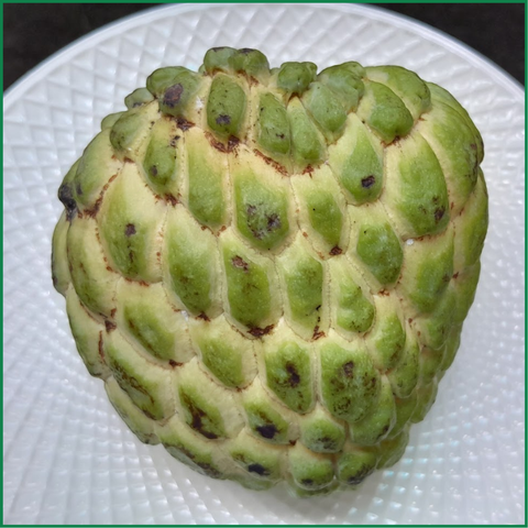 Mãng cầu Thái  - Ảnh 2