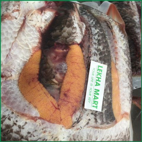 Cá lóc đồng làm sạch - Ảnh 2