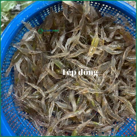 Tép đồng làm sạch - Ảnh 2